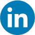 LinkedIN Icon